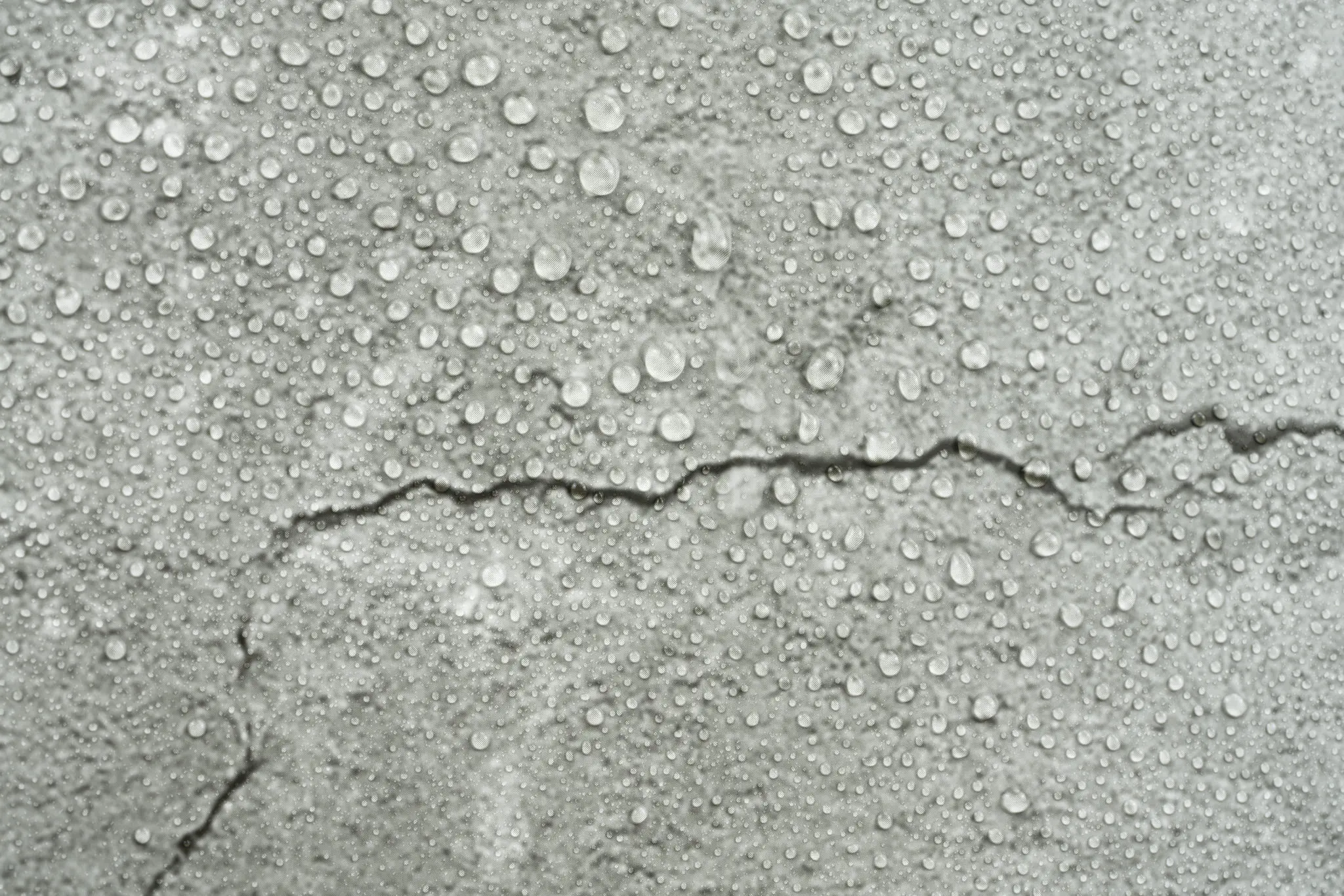 Crack in the concrete photo