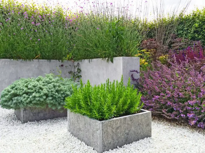 Ideas for Adding Plants to Your Decorative Concrete Project