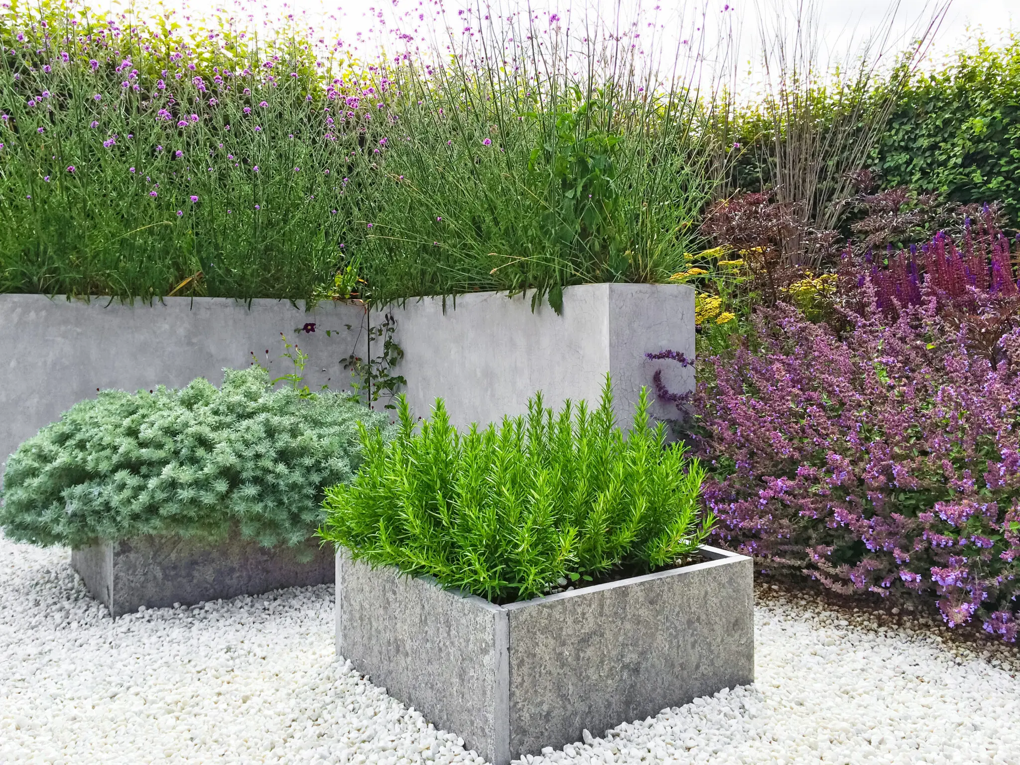 Ideas for Adding Plants to Your Decorative Concrete Project