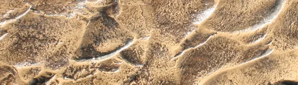 YUKON TEXTURE Edge Liner - Image 6