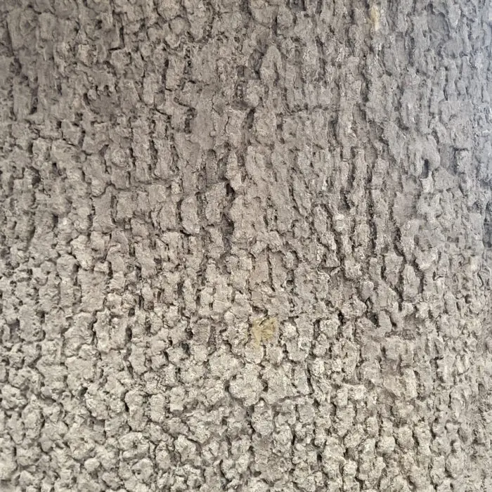 Oak Bark Form Liner