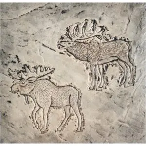 Wildlife Series-Set of Moose & Elk Concrete Stamp