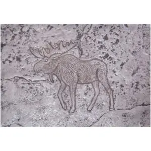 Wildlife Series-Moose Concrete Stamp