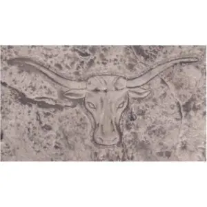 Wildlife Series-Longhorn Steer Concrete Stamp