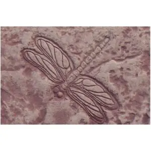 Garden Series-Dragonfly Concrete Stamp