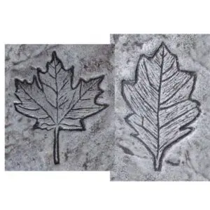 Garden Series-Set of 2 Leaves Concrete Stamp
