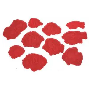 Aquatic Series-Set of 10 Tropical Fish Concrete Stamp