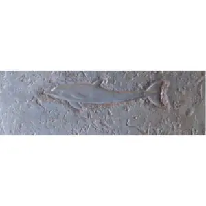Aquatic Series-Dolphin Single Concrete Stamp