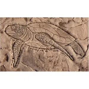 Aquatic Series-Sea Turtle Swimming Concrete Stamp