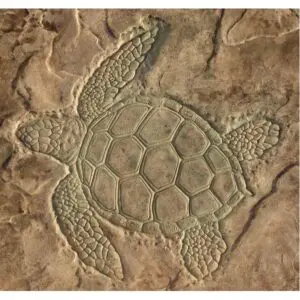Aquatic Series-Sea Turtle Overhead View Concrete Stamp