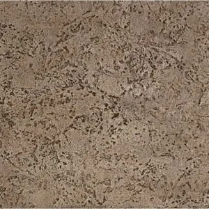 Seamless Coquina Stone Concrete Stamp