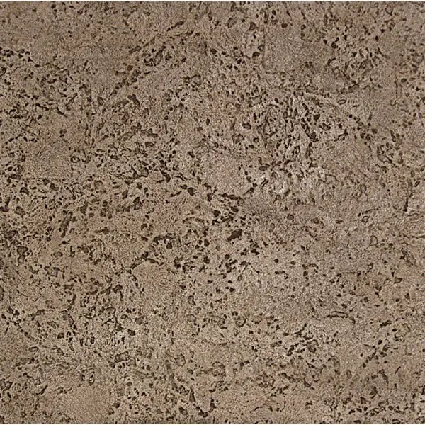 Seamless Coquina Stone Concrete Stamp