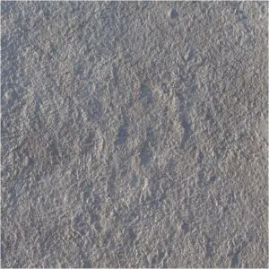 Seamless Quartzite Concrete Stamp