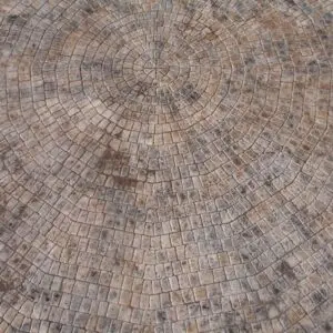 European Cobble Series-Package (Up to 20 Feet) Concrete Stamp