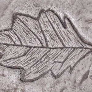 Garden Series-Oak Leaf Concrete Stamp