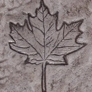 Garden Series-Maple Leaf Concrete Stamp