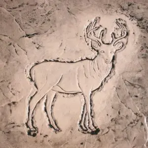 Wildlife Series-Deer Concrete Stamp