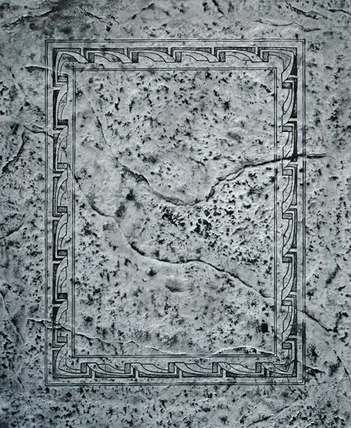 Seamless Magic Carpet Concrete Stamp