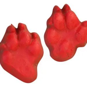 Coyote - Set of Four Prints Concrete Stamp
