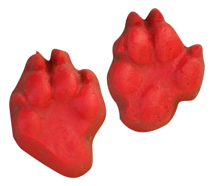 Coyote - Set of Four Prints Concrete Stamp