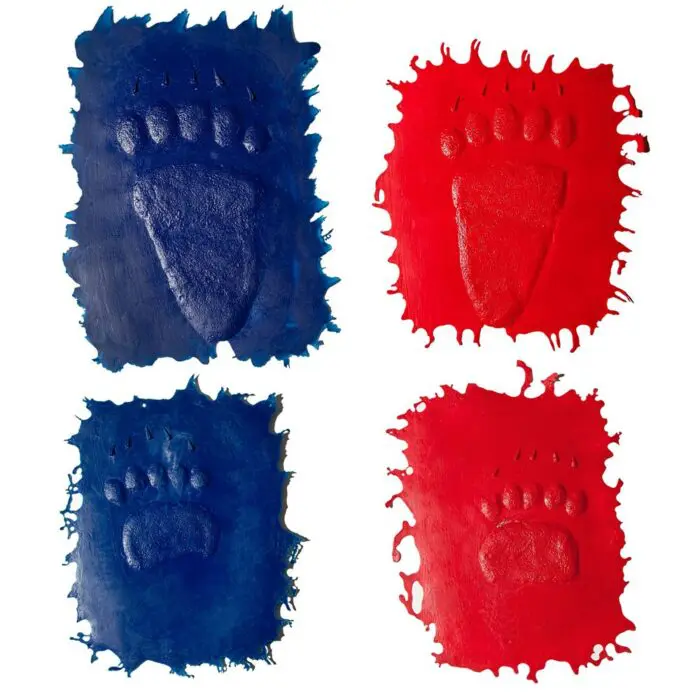 Bear - Set of Four Prints Concrete Stamp