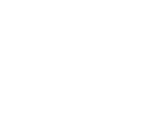 Secure Checkout icon