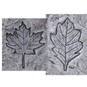 Concrete Stamps - Garden Series-Set of 2 Leaves