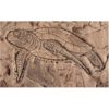Concrete Stamps - Aquatic Series-Sea Turtle Swimming