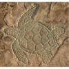 Concrete Stamps - Aquatic Series-Sea Turtle Overhead View