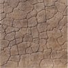 Concrete Stamps - Seamless Cracked Mud