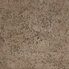 Concrete Stamps - Seamless Coquina Stone Package