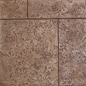 Concrete Stamps - 24" x 24" Coquina with Shells Tile Package