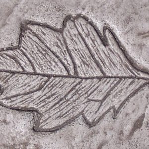 Concrete Stamps - Garden Series-Leaf 1