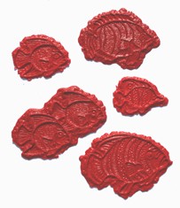 Concrete Stamps - Aquatic Series - Set of 5 Fish facing Left