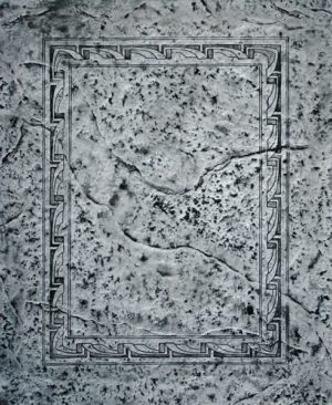 Concrete Stamps - Seamless Magic Carpet