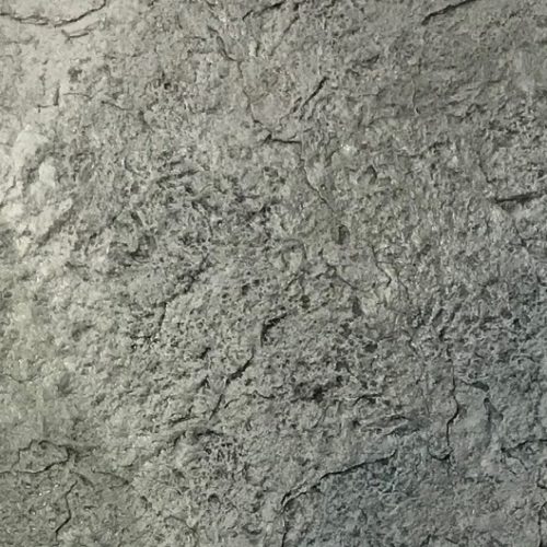 Concrete Stamp Seamless Coquina Stone