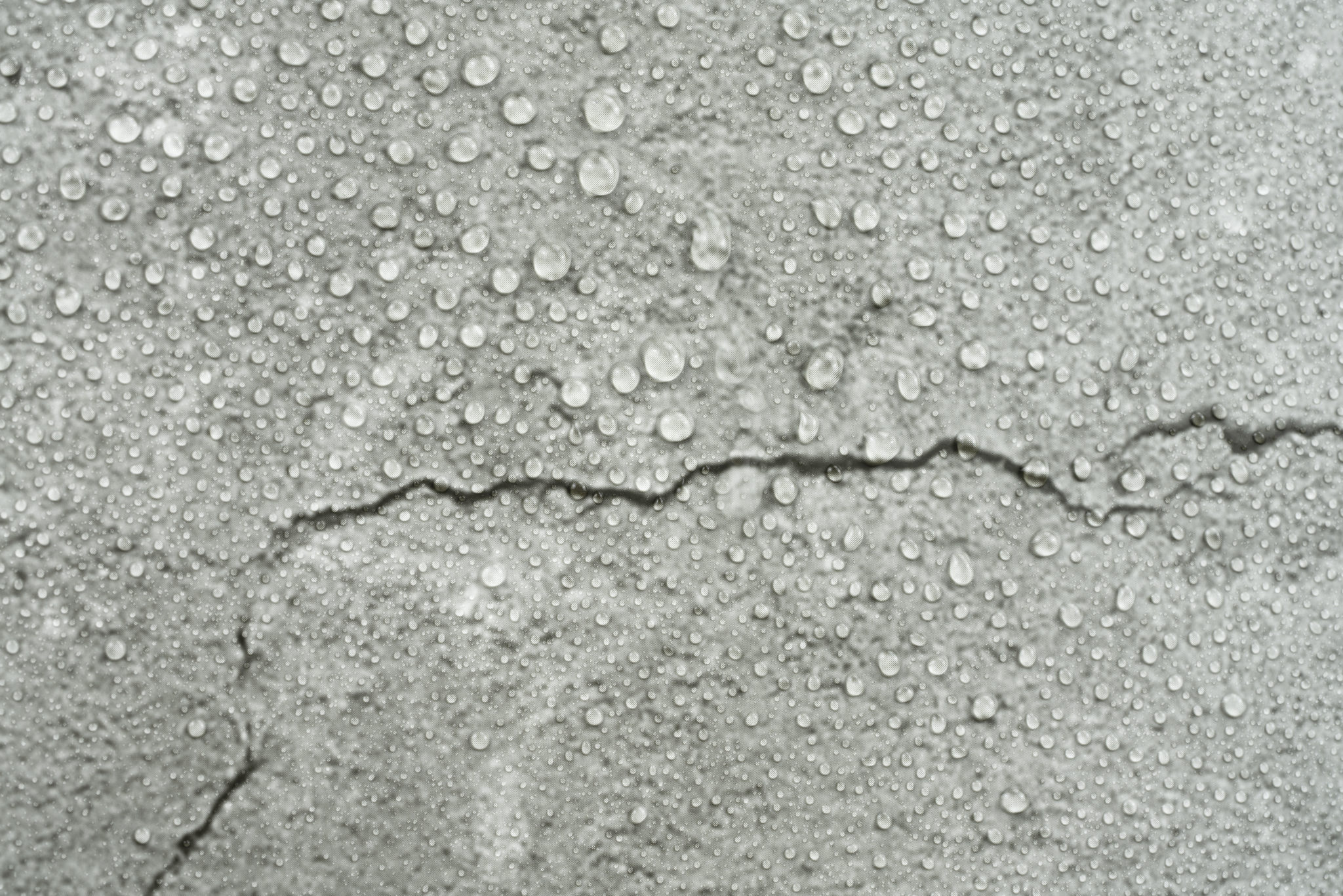 Crack in the concrete photo