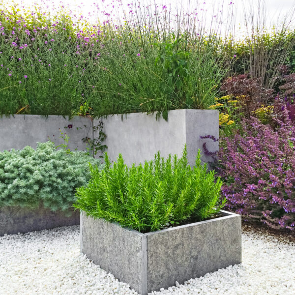 Beautiful garden with concrete planters.