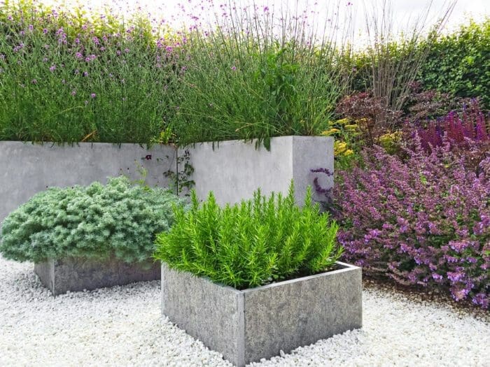 Ideas for Adding Plants to Your Decorative Concrete Project