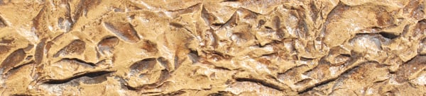 DENALI TEXTURE Edge Liner - Image 2