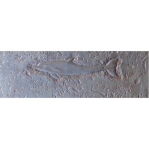 Aquatic Series-Dolphin Single Concrete Stamp