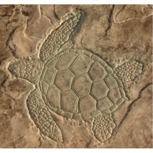 Aquatic Series-Sea Turtle Overhead View Concrete Stamp