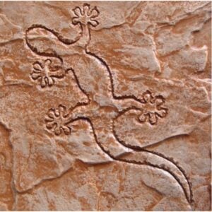 Seamless Design Gecko Concrete Stamp