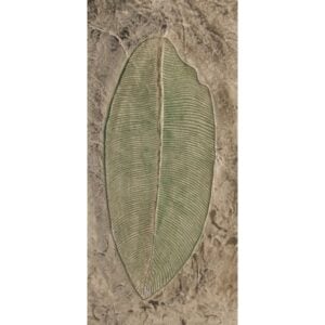 Seamless Design Banana Leaf Concrete Stamp