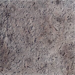 Seamless Coquina Stone with Sea Shells Super Skin Concrete Stamp