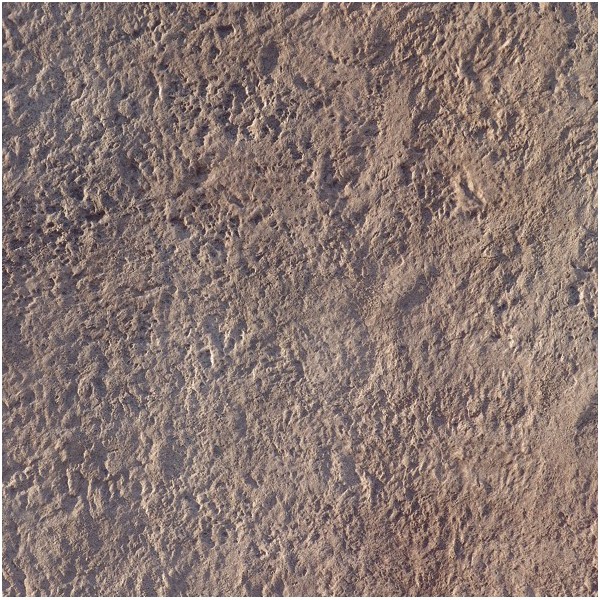 Seamless Flamed Granite Concrete Stamp
