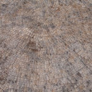 European Cobble Series-Package (Up to 30 Feet) Concrete Stamp
