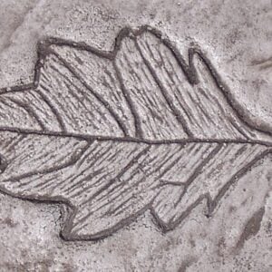 Garden Series-Oak Leaf Concrete Stamp