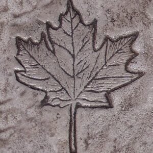 Garden Series-Maple Leaf Concrete Stamp