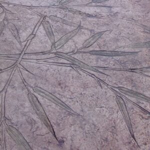 Seamless Bamboo Concrete Stamp